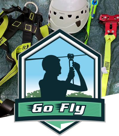Go Fly logo 