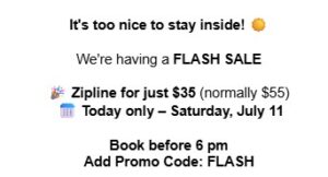 Flash Sale
